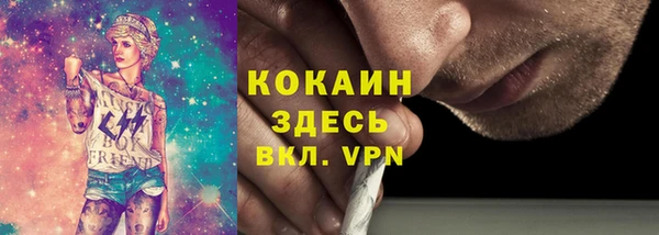 твердый Алексеевка