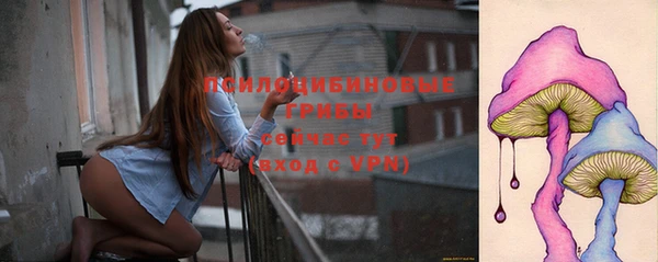 твердый Алексеевка