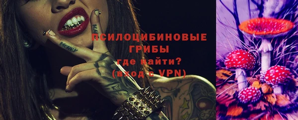 твердый Алексеевка