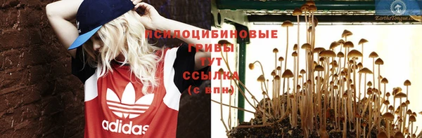 твердый Алексеевка