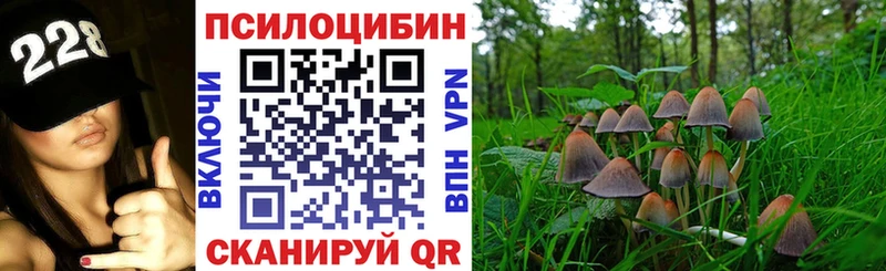 Псилоцибиновые грибы Psilocybe  где продают   Анива 